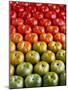 Red and Green Tomatoes-Tracey Thompson-Mounted Photographic Print