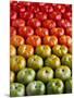 Red and Green Tomatoes-Tracey Thompson-Mounted Photographic Print