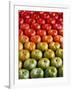 Red and Green Tomatoes-Tracey Thompson-Framed Photographic Print