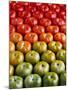 Red and Green Tomatoes-Tracey Thompson-Mounted Photographic Print