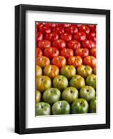 Red and Green Tomatoes-Tracey Thompson-Framed Photographic Print