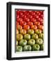 Red and Green Tomatoes-Tracey Thompson-Framed Photographic Print