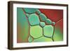 Red And Mint Pebbles-Cora Niele-Framed Giclee Print