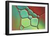 Red And Mint Pebbles-Cora Niele-Framed Giclee Print