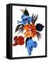 Red and Orange and light blue tulips-Hiroyuki Izutsu-Framed Stretched Canvas