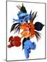Red and Orange and light blue tulips-Hiroyuki Izutsu-Mounted Giclee Print