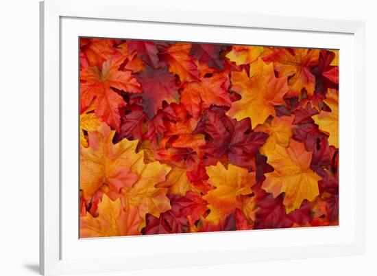 Red and Orange Autumn Leaves Background-Karen Roach-Framed Photographic Print