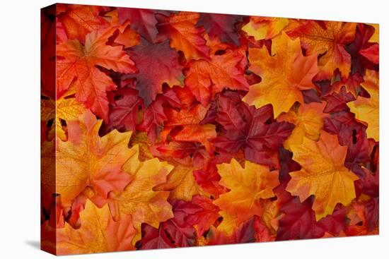 Red and Orange Autumn Leaves Background-Karen Roach-Stretched Canvas