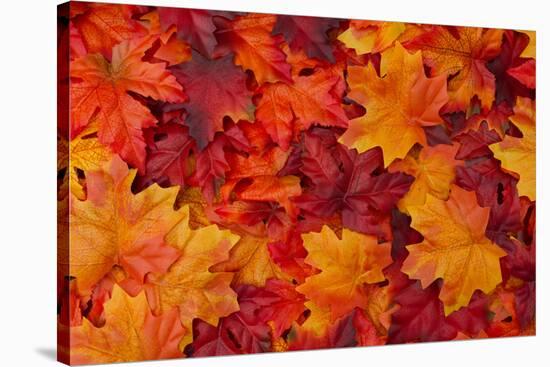 Red and Orange Autumn Leaves Background-Karen Roach-Stretched Canvas