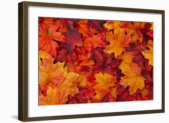 Red and Orange Autumn Leaves Background-Karen Roach-Framed Photographic Print