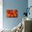 Red and Orange Autumn Leaves Background-Karen Roach-Mounted Photographic Print displayed on a wall