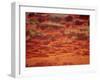 Red and Orange Clouds at Sunset in South Africa, Africa-Dominic Harcourt-webster-Framed Photographic Print