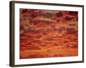 Red and Orange Clouds at Sunset in South Africa, Africa-Dominic Harcourt-webster-Framed Photographic Print