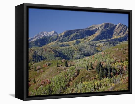 Red and Orange Maples and Yellow Aspens in the Fall, Wasatch Mountain State Park, Utah, USA-James Hager-Framed Stretched Canvas