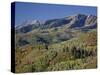 Red and Orange Maples and Yellow Aspens in the Fall, Wasatch Mountain State Park, Utah, USA-James Hager-Stretched Canvas