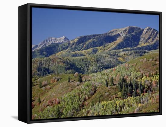 Red and Orange Maples and Yellow Aspens in the Fall, Wasatch Mountain State Park, Utah, USA-James Hager-Framed Stretched Canvas