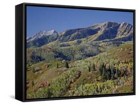 Red and Orange Maples and Yellow Aspens in the Fall, Wasatch Mountain State Park, Utah, USA-James Hager-Framed Stretched Canvas