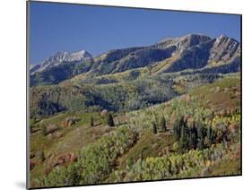 Red and Orange Maples and Yellow Aspens in the Fall, Wasatch Mountain State Park, Utah, USA-James Hager-Mounted Photographic Print