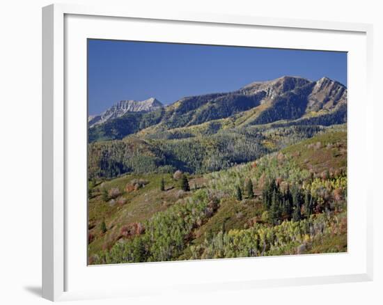 Red and Orange Maples and Yellow Aspens in the Fall, Wasatch Mountain State Park, Utah, USA-James Hager-Framed Photographic Print