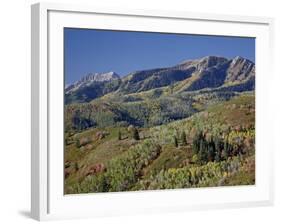 Red and Orange Maples and Yellow Aspens in the Fall, Wasatch Mountain State Park, Utah, USA-James Hager-Framed Photographic Print