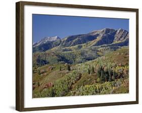 Red and Orange Maples and Yellow Aspens in the Fall, Wasatch Mountain State Park, Utah, USA-James Hager-Framed Photographic Print