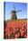 Red and Orange Tulip Fields and the Blue Sky Frame the Windmill in Spring, Netherlands-Roberto Moiola-Stretched Canvas