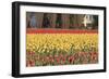 Red and Orange Tulips-Dana Styber-Framed Photographic Print