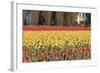 Red and Orange Tulips-Dana Styber-Framed Photographic Print