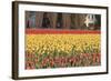 Red and Orange Tulips-Dana Styber-Framed Photographic Print