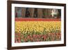 Red and Orange Tulips-Dana Styber-Framed Photographic Print