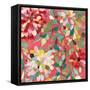 Red and Pink Dahlia II-Candra Boggs-Framed Stretched Canvas