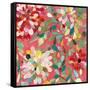 Red and Pink Dahlia II-Candra Boggs-Framed Stretched Canvas