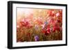 Red and Pink Poppies with Wildflowers in Sunny Summer Meadow-elenathewise-Framed Photographic Print