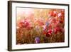 Red and Pink Poppies with Wildflowers in Sunny Summer Meadow-elenathewise-Framed Photographic Print