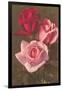 Red and Pink Roses-null-Framed Art Print