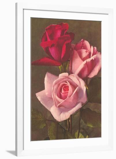 Red and Pink Roses-null-Framed Art Print