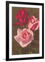 Red and Pink Roses-null-Framed Art Print