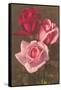 Red and Pink Roses-null-Framed Stretched Canvas