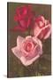 Red and Pink Roses-null-Stretched Canvas