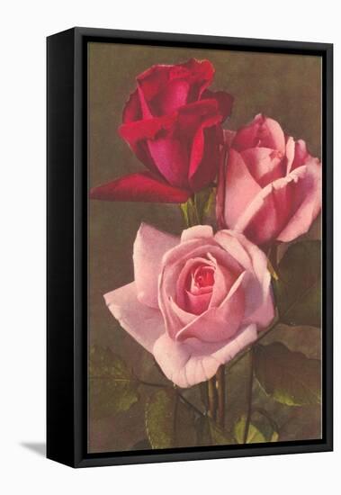 Red and Pink Roses-null-Framed Stretched Canvas