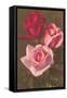 Red and Pink Roses-null-Framed Stretched Canvas