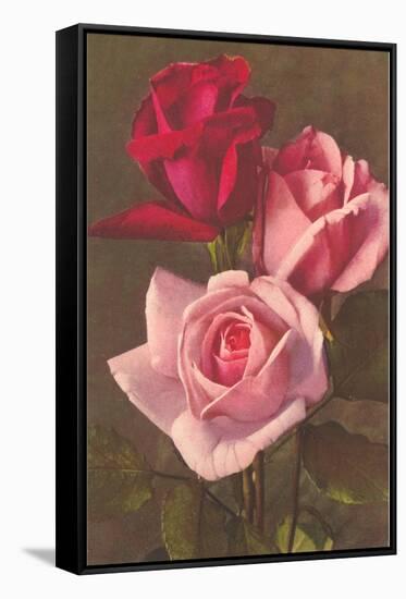 Red and Pink Roses-null-Framed Stretched Canvas