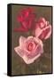 Red and Pink Roses-null-Framed Stretched Canvas