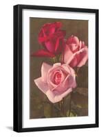 Red and Pink Roses-null-Framed Art Print