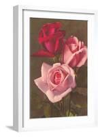 Red and Pink Roses-null-Framed Art Print