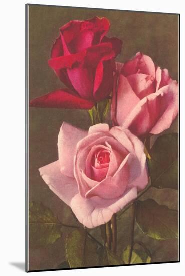 Red and Pink Roses-null-Mounted Art Print