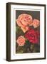 Red and Pink Roses-null-Framed Art Print