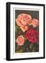 Red and Pink Roses-null-Framed Art Print