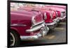 Red and pink vintage American car taxis on street in Havana, Cuba, West Indies, Central America-Ed Hasler-Framed Photographic Print