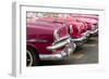 Red and pink vintage American car taxis on street in Havana, Cuba, West Indies, Central America-Ed Hasler-Framed Photographic Print